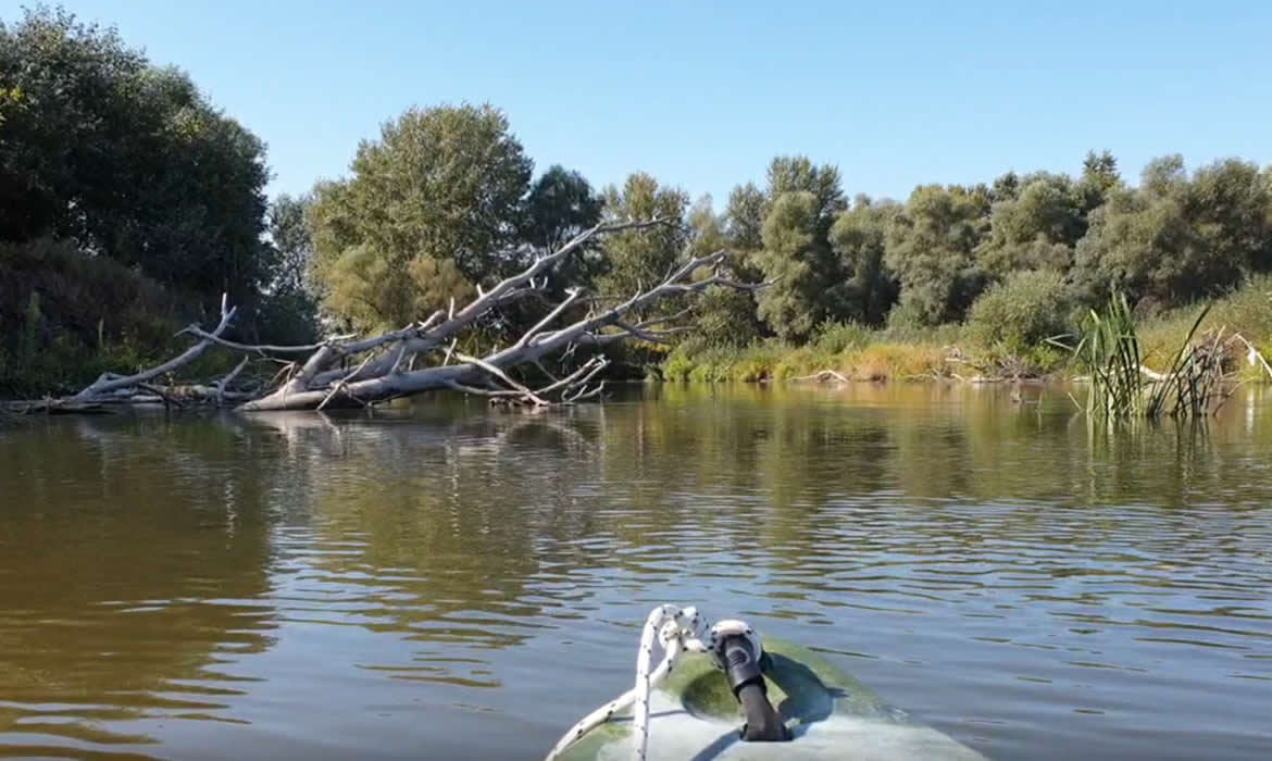 Fejes domolykó rejtekei Fejes domolykó rejtekei