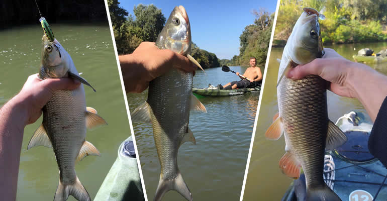 Horgászkajakos horgásztúra a Sajón Horgászkajakos horgásztúra a Sajón