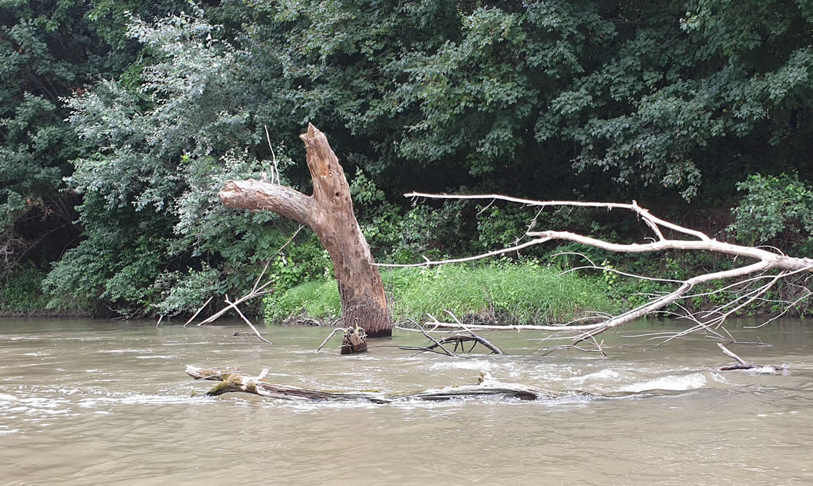 A kajakos horgászat veszélyei - sodrás A kajakos horgászat veszélyei - sodrás