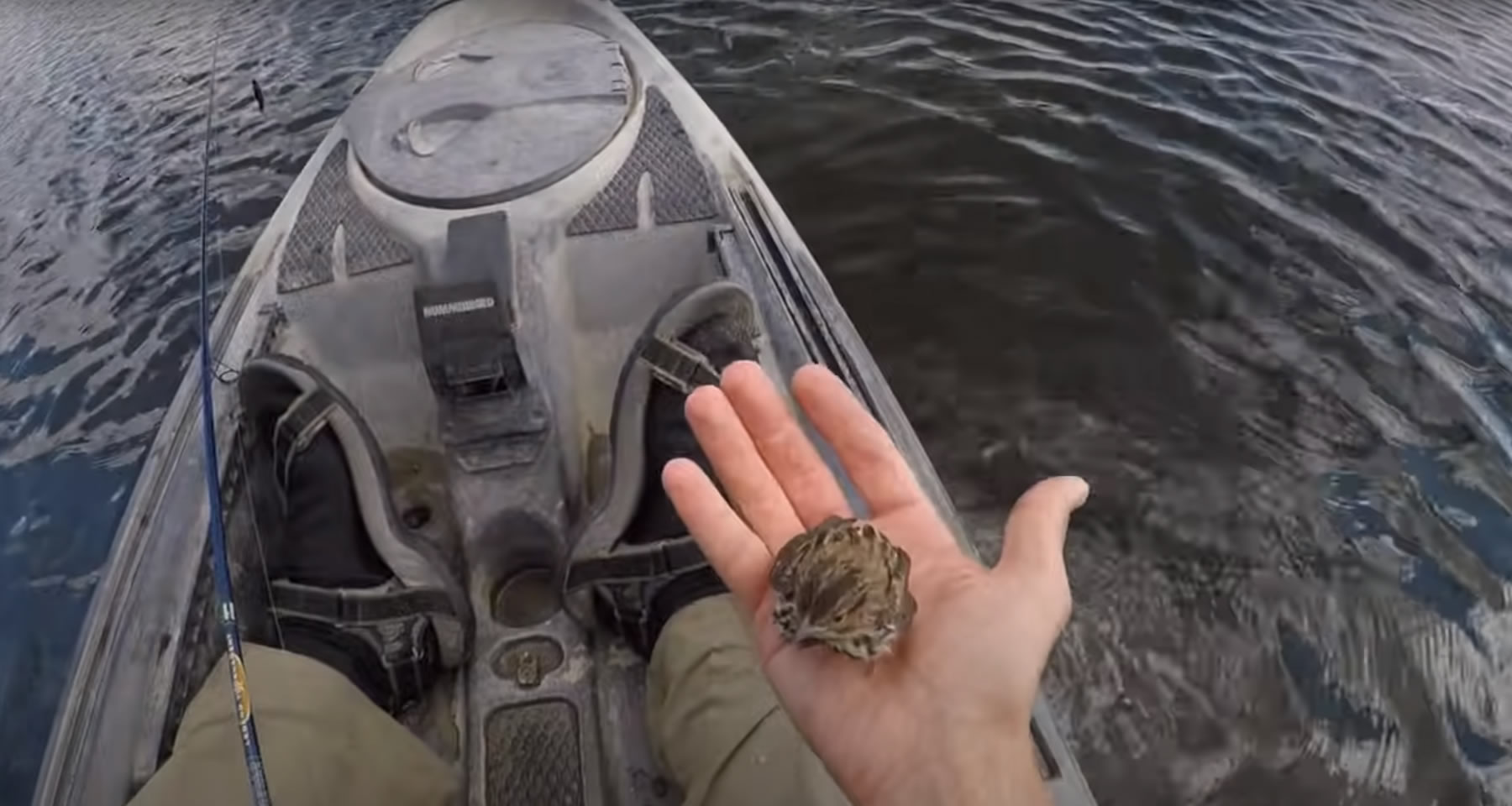 Kajakos horgászat baki Kajakos horgászat baki